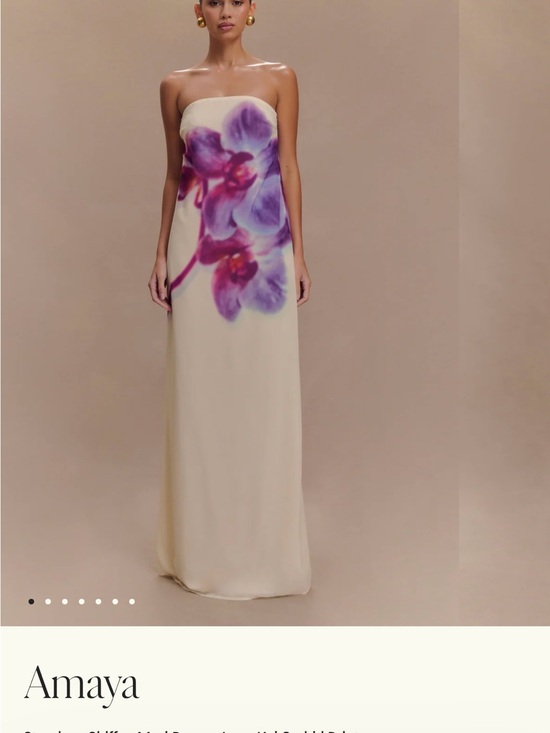 Meshki Dresses & Skirts - Meshki Amaya Strapless Madi Dress